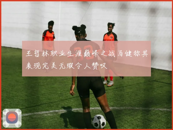 王哲林职业生涯巅峰之战马健称其表现完美无瑕令人赞叹