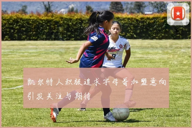 凯尔特人积极追求字母哥加盟意向引发关注与期待